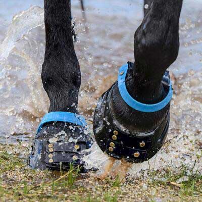 Foto van hoefschoenen voor paarden