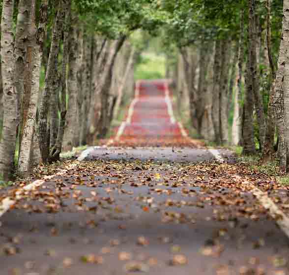Foto van een landelijke weg